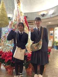 熱帯植物園のツリーでポーズ