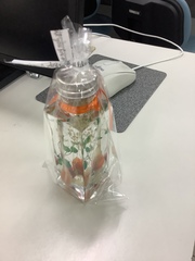 参加者の作品