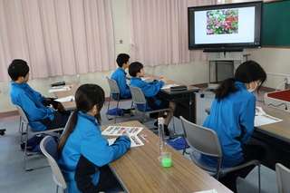花の病気を防ぐには