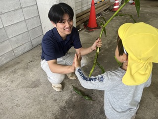 収穫成功 収穫成功