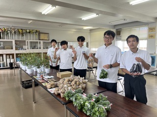商品紹介