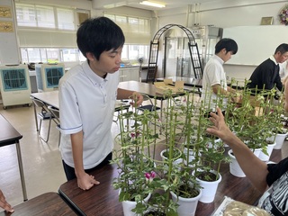 販売物の説明