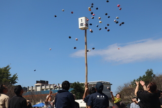 職員・ＰＴＡ玉入れ