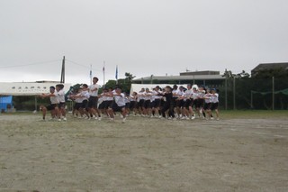 7IMG_2486