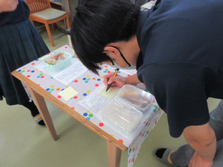29 IMG_2428
