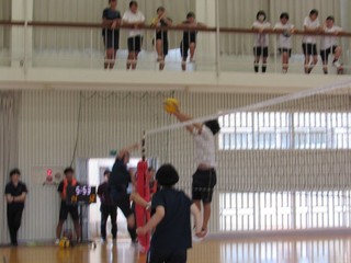 05 画像5