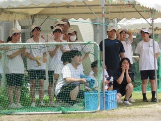 55 画像55