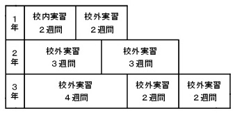 学年毎の実習期間