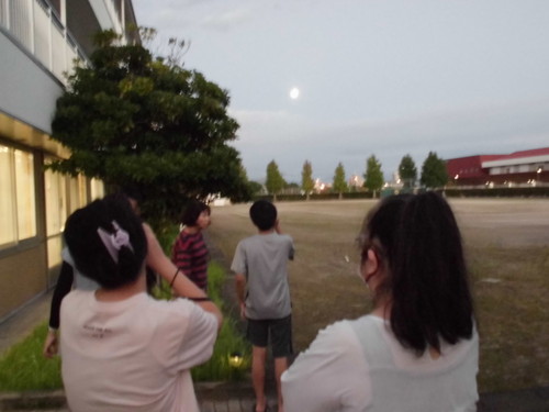 鑑賞会の様子 鑑賞会の様子