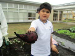 ４　ほら！先生！大きいよ！