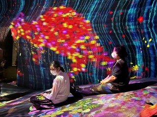 7A641422-E8A3-4DAC-924A-E349645919C0