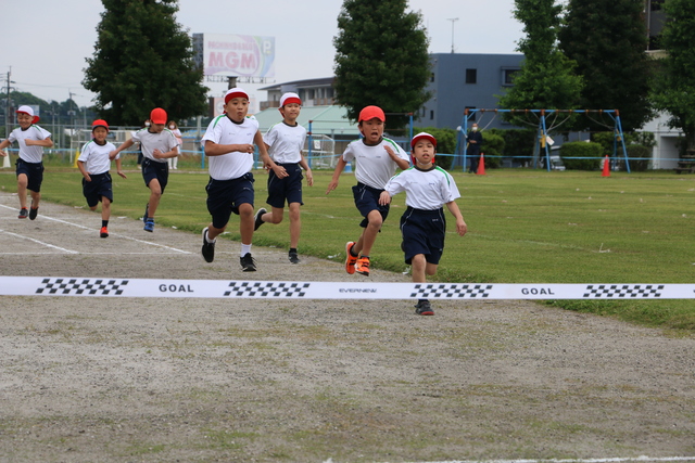 小学部運動会 (448)