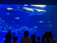 IMG_1059