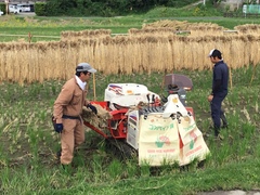 脱穀２IMG_2029