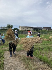脱穀５IMG_3142