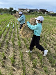 脱穀６IMG_4902