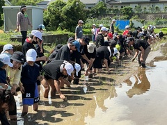 田植え (30)