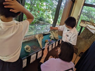 校外学習