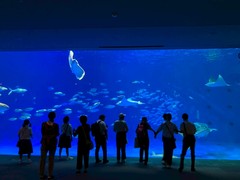 修学旅行