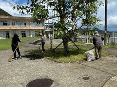 小写真