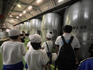 奄美大島開運酒造見学