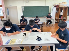 写真３