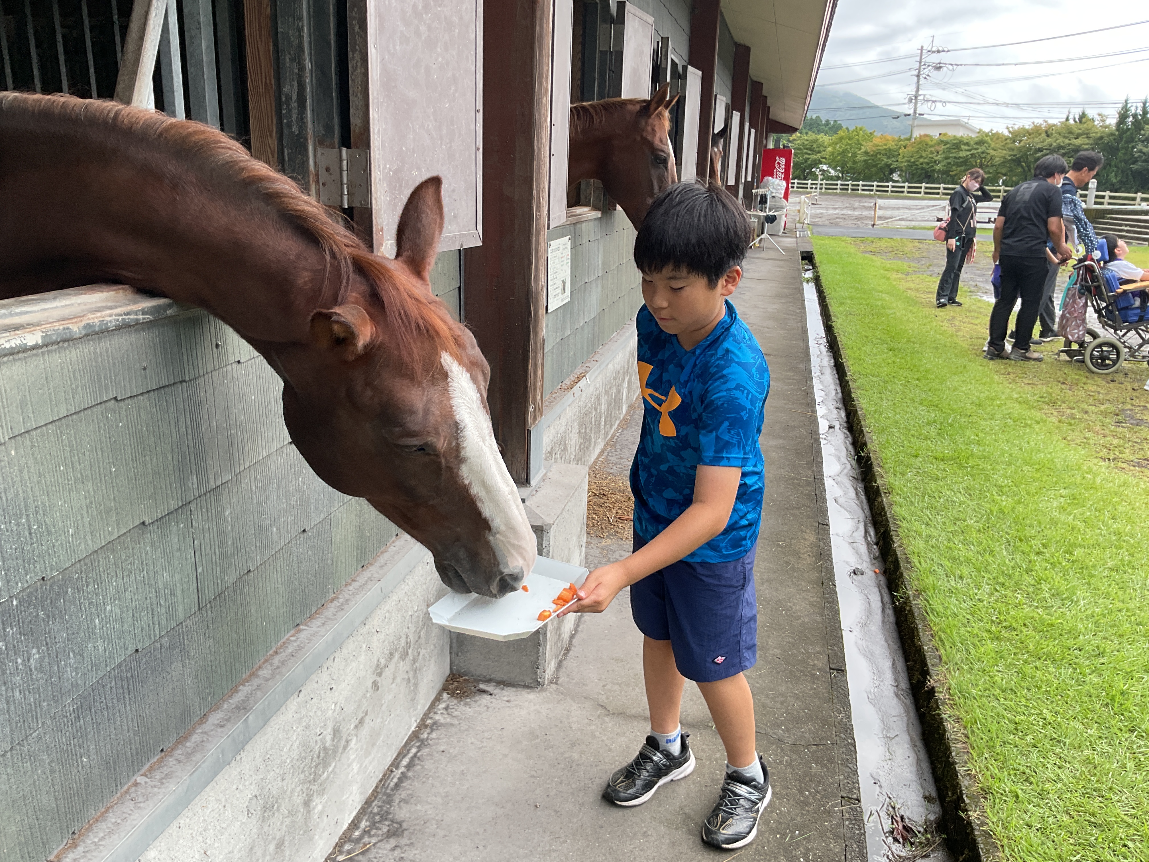 餌やり体験 餌やり体験