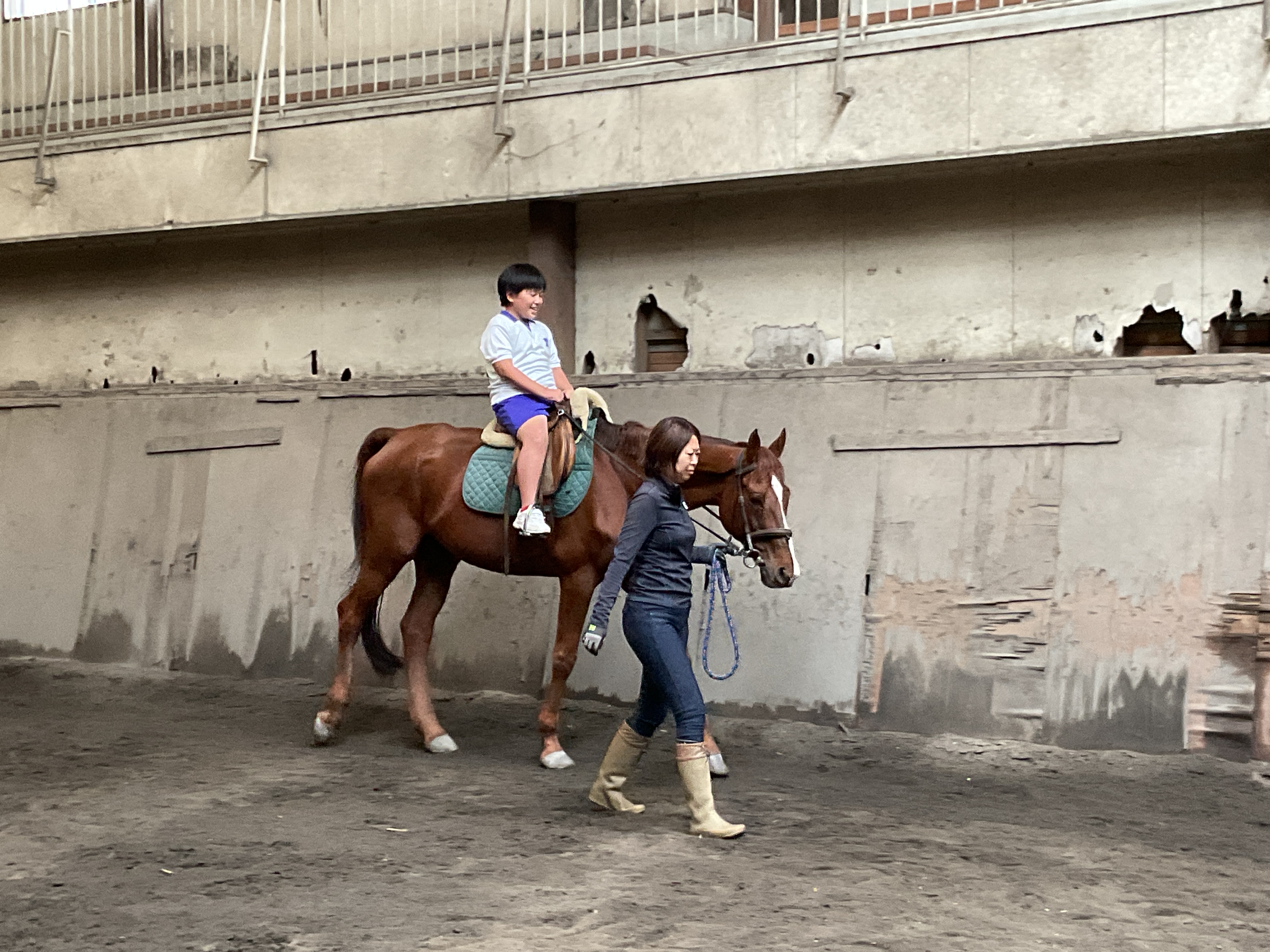 乗馬体験 乗馬体験